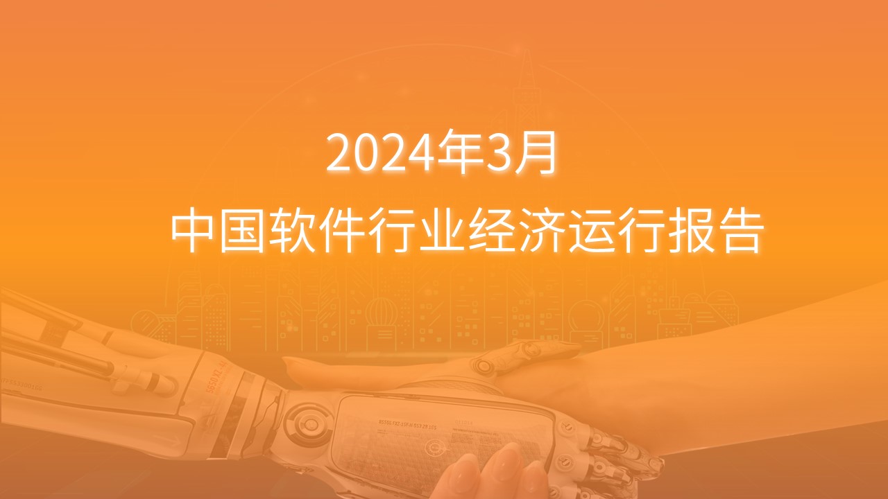 2024年1-3月中国软件行业经济运行报告（附全文）