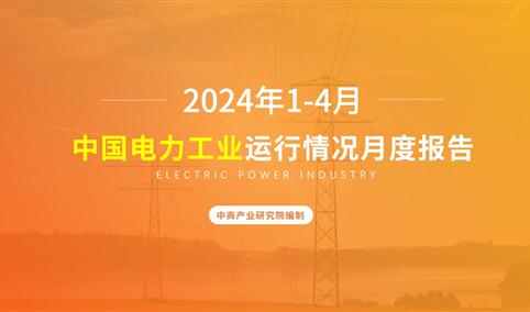 2024年1-4月中国电力工业运行情况月度报告（附完整版）