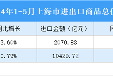 2024年1-5月上海市商品进出口数据统计：出口金额同比微涨（图）