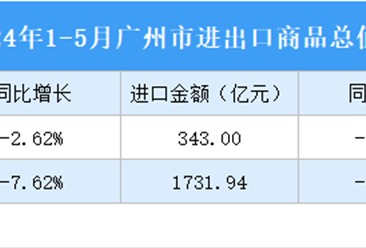2024年1-5月广州市进出口数据统计：出口金额同比下降9.52%（图）