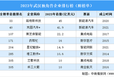 2023年武汉独角兽企业排行榜（附榜单）