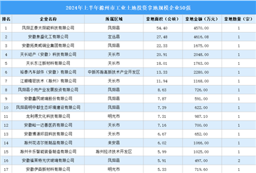 【产业投资情报】2024年上半年滁州工业土地投资50强企业总投资超4亿