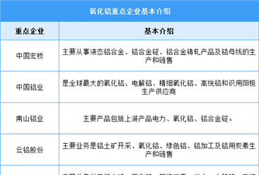 2024年中国氧化铝产量及重点企业预测分析（图）