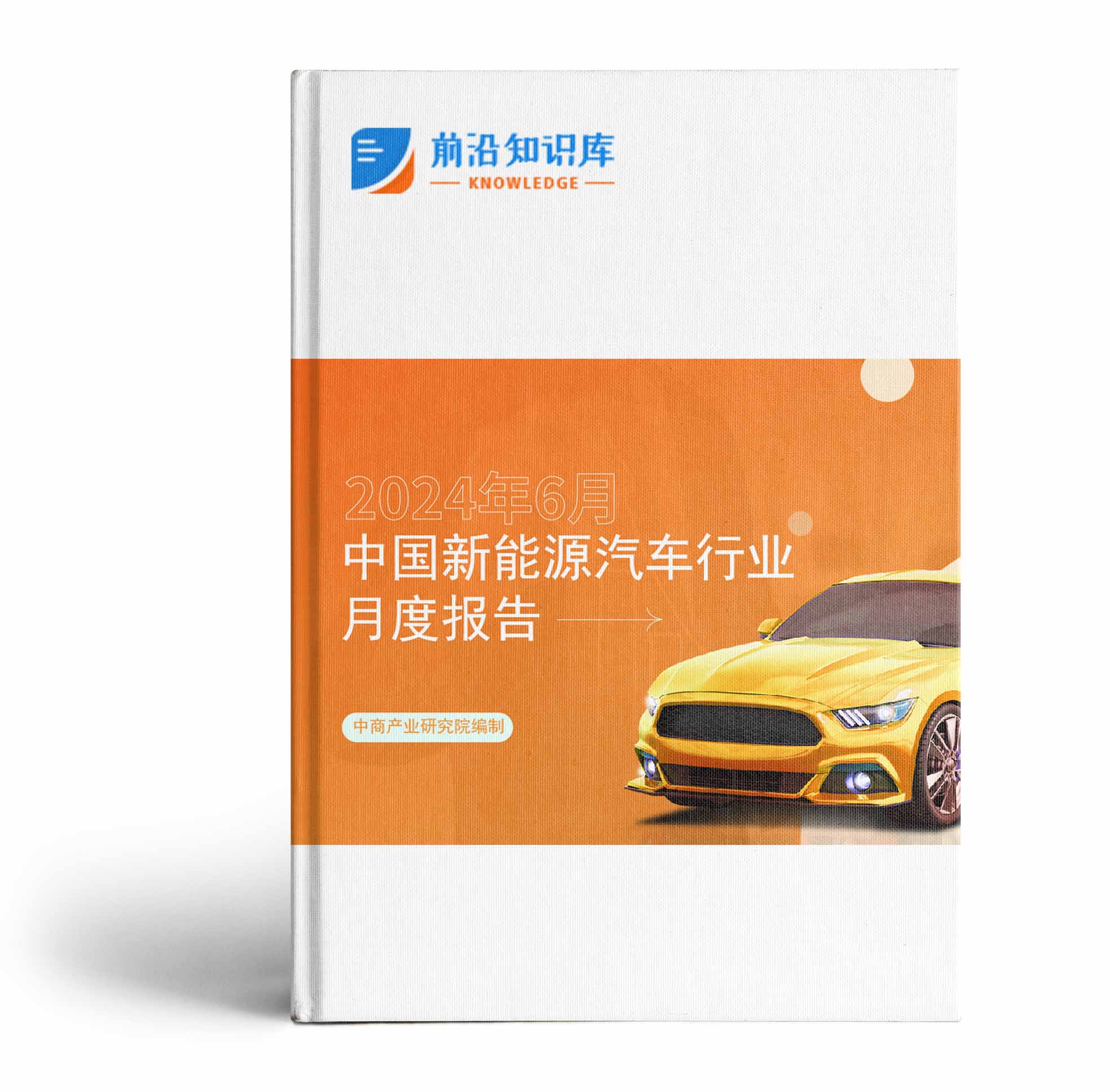 中國新能源汽車行業運行情況月度報告（2024年6月）