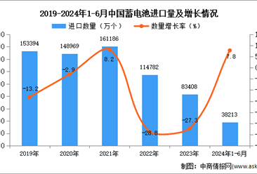 2024年1-6月中国蓄电池进口数据统计分析：进口量38213万个