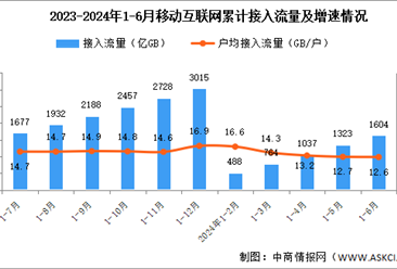 2024年1-6月互联网累计计入流量及城乡宽带接入用户分析（图）