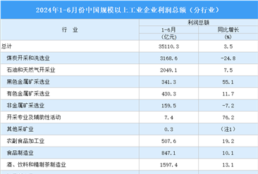 2024年1-6月全國規(guī)上工業(yè)企業(yè)利潤總額情況：制造業(yè)利潤總額同比增長5%（圖）