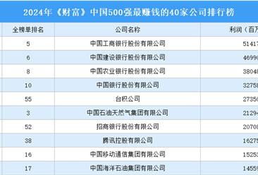 2024年《财富》中国500强最赚钱的40家公司排行榜（附榜单）