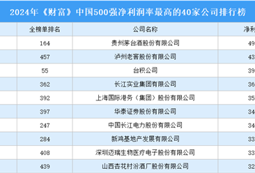 2024年《財富》中國500強凈利潤率最高的40家公司排行榜（附榜單）