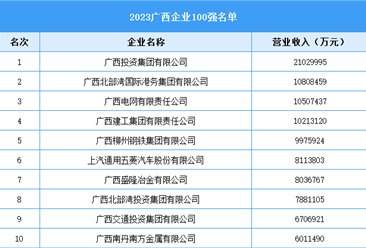 2023广西企业100强名单（图）