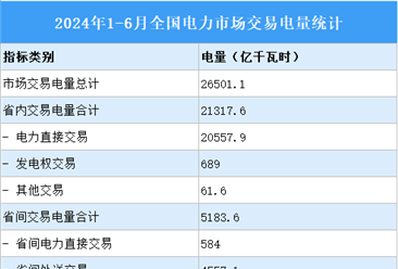 2024年1-6月全国电力市场交易电量统计：市场交易电量同比增长6.7%