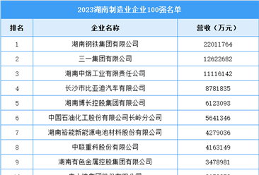 2023湖南制造业企业100强名单（图）