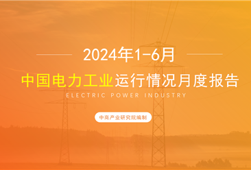 2024年1-6月中国电力工业运行情况月度报告（附完整版）