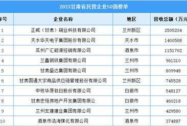 2023甘肃省民营企业50强名单（图）