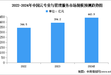 2024年中国云专业与管理服务市场规模及结构预测分析（图）