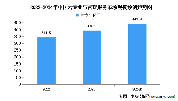 2024年中國云專業(yè)與管理服務市場規(guī)模及結(jié)構(gòu)預測分析（圖）