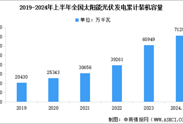 2024年上半年中国光伏发电累计装机容量以及不同形式光伏电站装机容量占比分析（图）