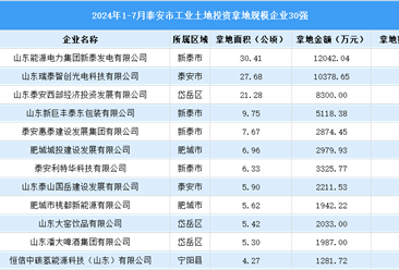 【投資追蹤】2024年1-7月泰安市土地投資方面企業(yè)30強(qiáng)投資總額超7億元（圖）