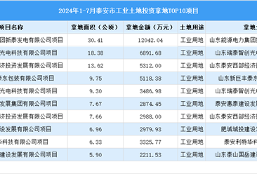 2024年1-7月泰安市十大工业土地投资项目拿地面积逾110公顷（图）