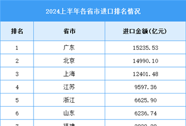 2024年1-6月全国各省市进口排名情况（附榜单）