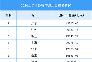 2024年上半年全國各省市進出口排名情況（附榜單）