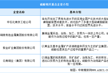 2024年中国硫酸产量及重点企业预测分析（图）