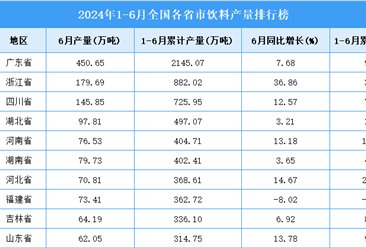 2024年上半年全国各省市饮料产量排行榜