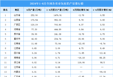 2024年上半年全国各省市氧化铝产量排行榜