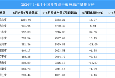 2024年上半年全国各省市平板玻璃产量排行榜