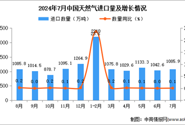 2024年7月中国天然气进口数据统计分析：进口量同比增长0.1%