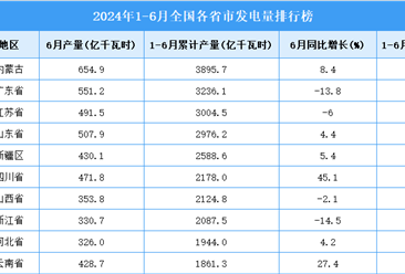 2024年上半年全国各省市发电量排行榜