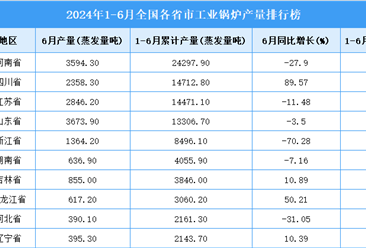 2024年上半年全国各省市工业锅炉产量排行榜