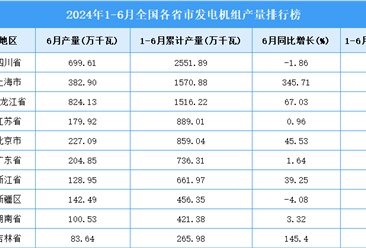 2024年上半年全国各省市发电机组产量排行榜