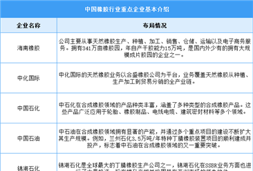 2024年中国橡胶市场现状及重点企业预测分析（图）