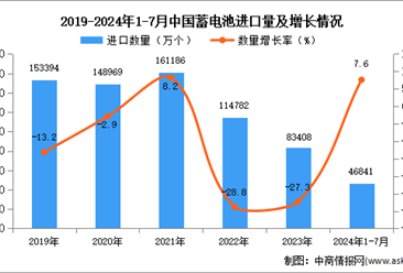 2024年1-7月中国蓄电池进口数据统计分析：进口量46841万个