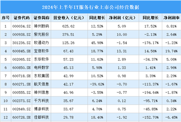 2024年上半年中国IT服务行业上市公司业绩排行榜（附榜单）