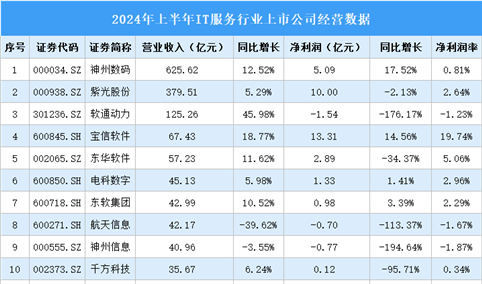 2024年上半年中国IT服务行业上市公司业绩排行榜（附榜单）