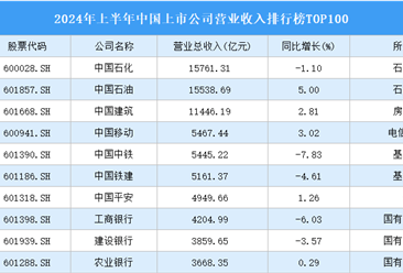 2024年上半年中国上市公司营业收入排行榜TOP100（附榜单）