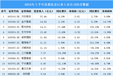 2024年上半年中国仪器仪表行业上市公司业绩排行榜（附榜单）