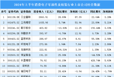 2024年上半年中国消费电子零部件及组装行业上市公司业绩排行榜（附榜单）