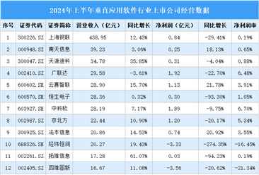 2024年上半年中国垂直应用软件行业上市公司业绩排行榜（附榜单）