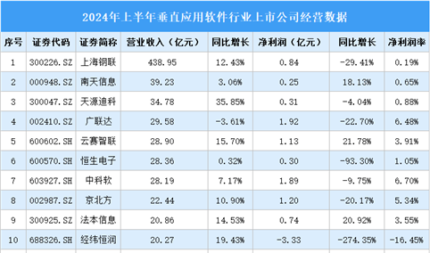 2024年上半年中国垂直应用软件行业上市公司业绩排行榜（附榜单）