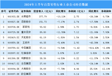 2024年上半年中国百货零售行业上市公司业绩排行榜（附榜单）