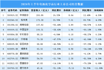 2024年上半年中国电池化学品行业上市公司业绩排行榜（附榜单）