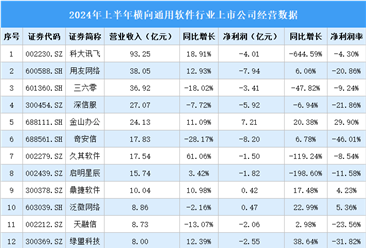 2024年上半年中国横向通用软件行业上市公司业绩排行榜（附榜单）