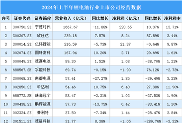 2024年上半年中国锂电池行业上市公司业绩排行榜（附榜单）