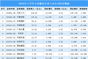 2024年上半年中国专业服务行业上市公司业绩排行榜（附榜单）