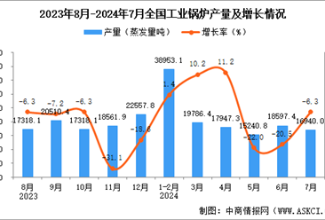 2024年7月全国工业锅炉产量数据统计分析