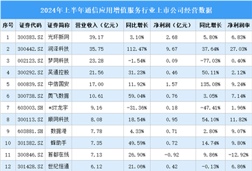 2024年上半年中国通信应用增值服务行业上市公司业绩排行榜（附榜单）