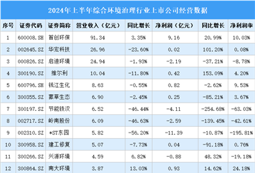 2024年上半年中国综合环境治理行业上市公司业绩排行榜（附榜单）